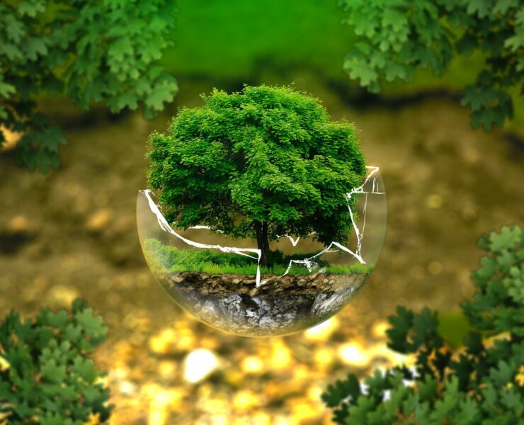 περιβάλλον